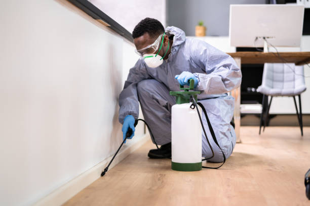 Best Fumigation Services  in San Luis, AZ